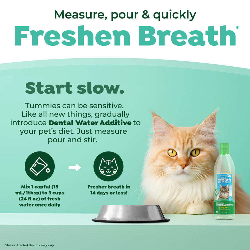 TropiClean Fresh Breath Oral Care Water Additive for Cats – lifestyle image