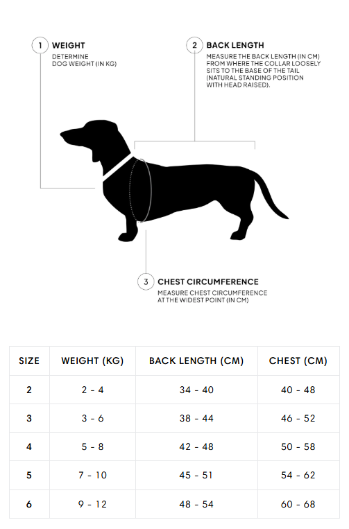 [Presale]Dachshund Coat Alaska Faded Rose