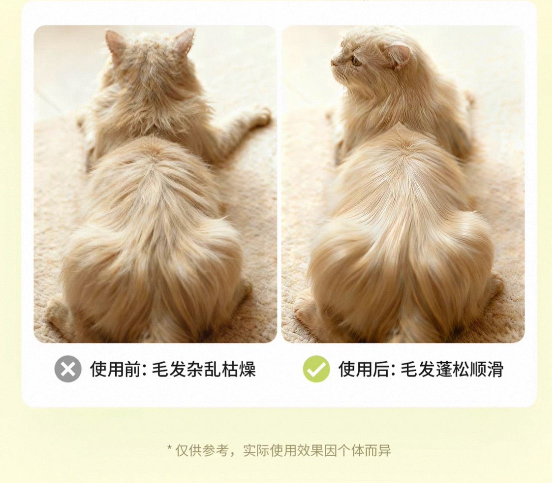 Mango CLEANING GLOVE WIPE免洗手套 10pcs