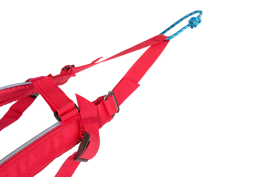 [Presale]Combined harness