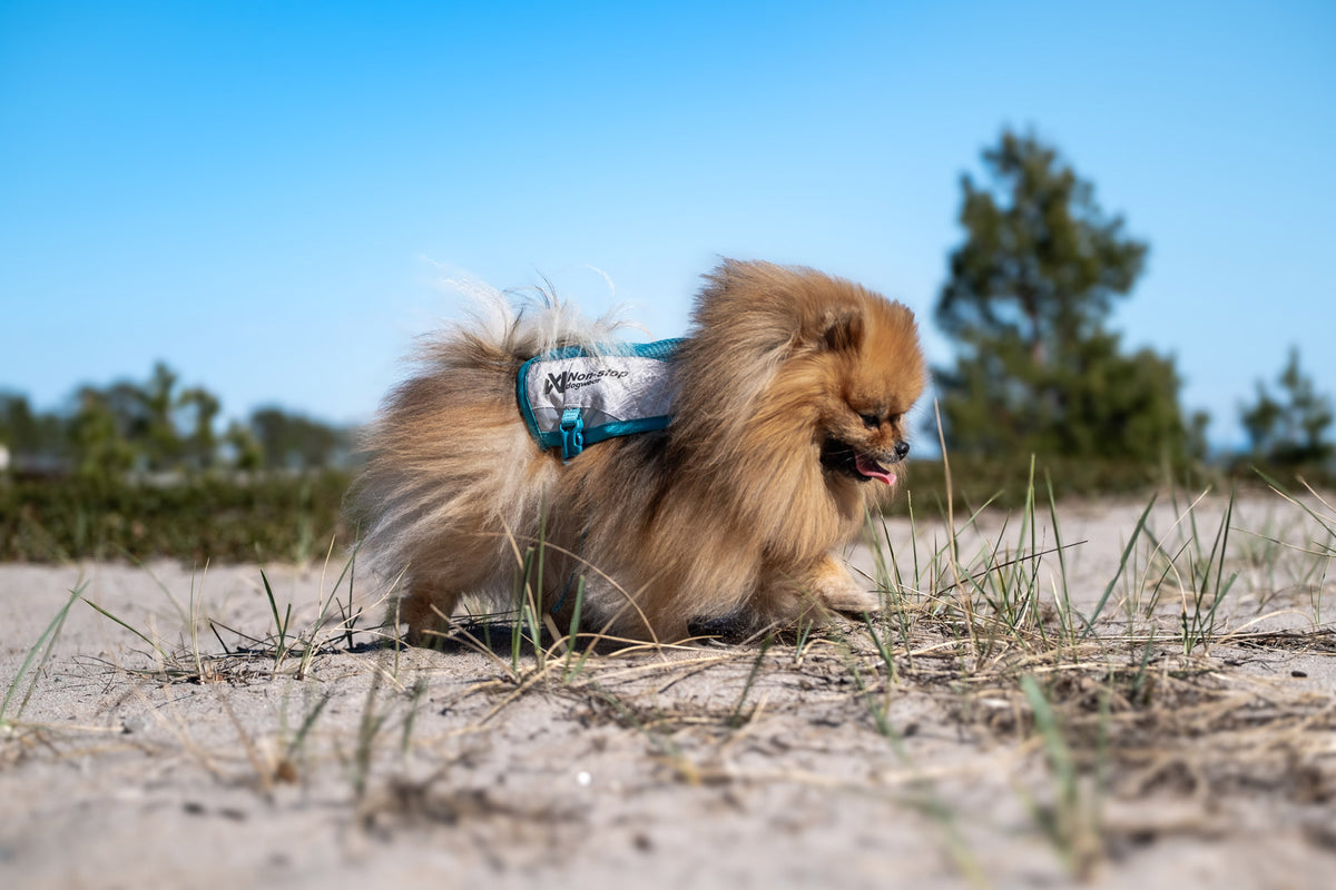 Non-stop dogwear Cooling Vest