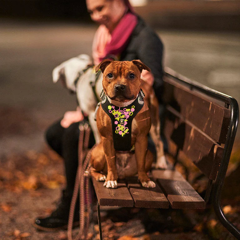 [Presale]Weekend Warrior Neon Harness II