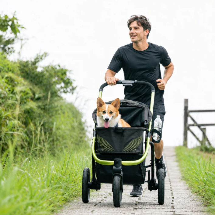 The Beast Pet Jogging Stroller, 3-Wheel All-Terrain Dog-Cat Pram