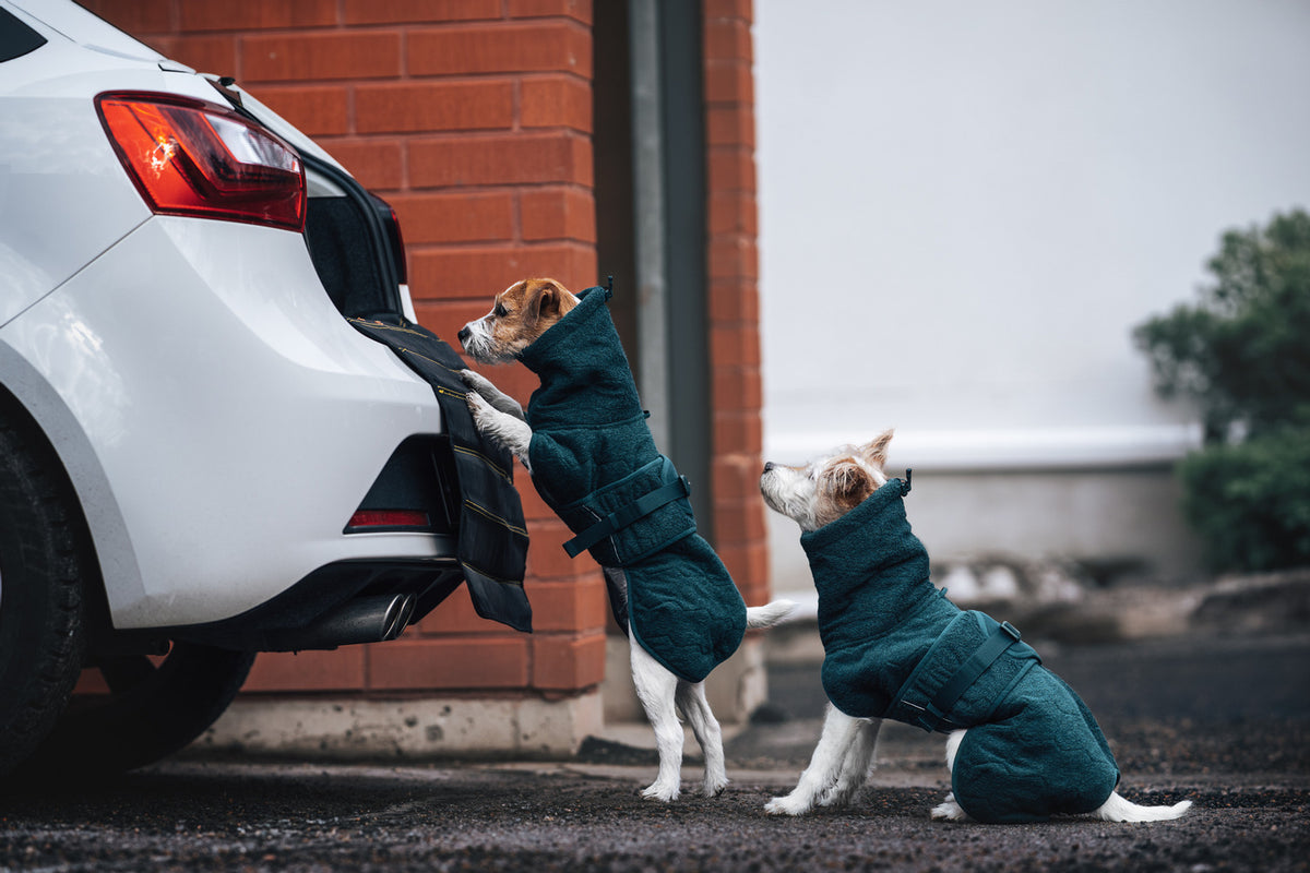 Non-stop dogwear Drying Coat – Dark Teal