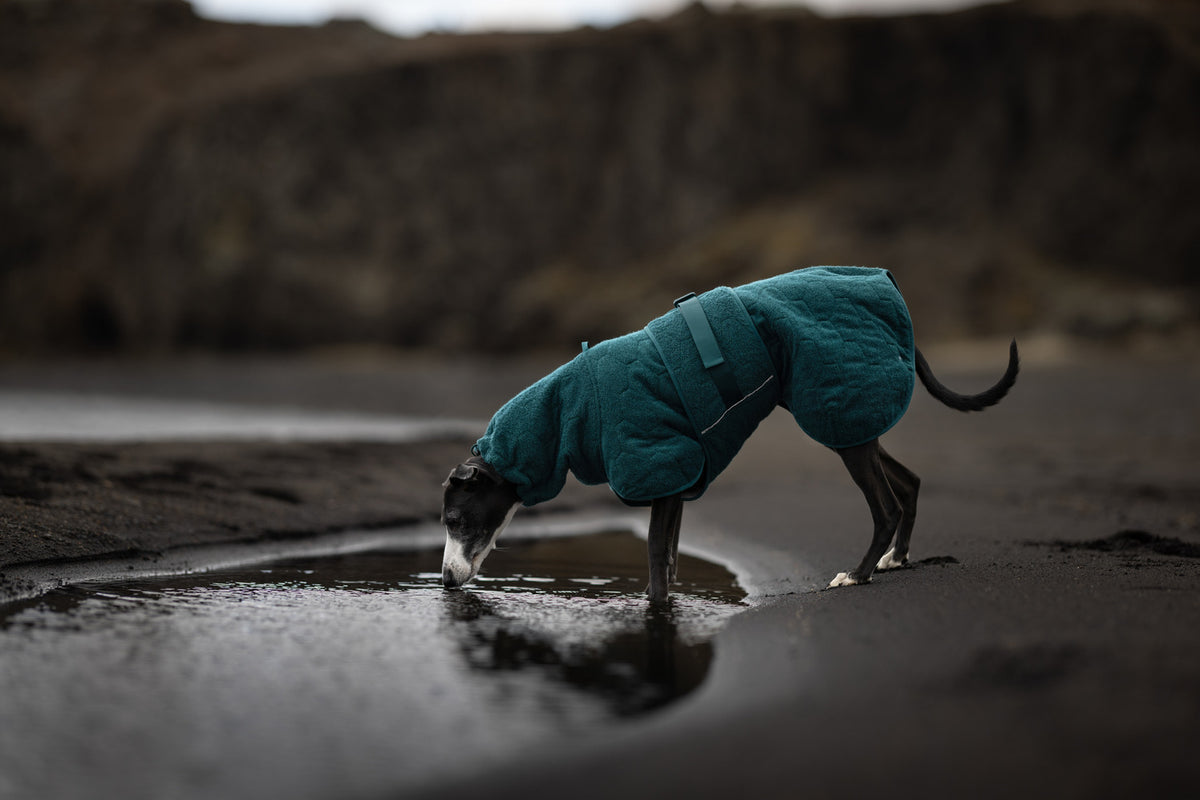 Non-stop dogwear Drying Coat – Dark Teal
