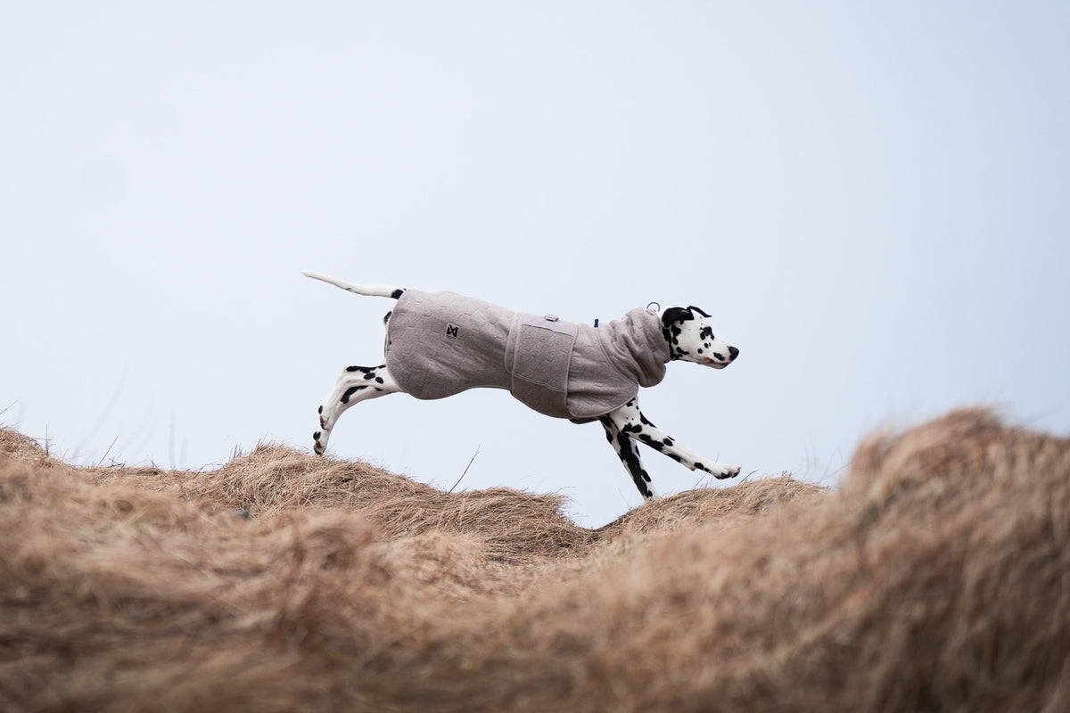 Non-stop dogwear Drying Coat