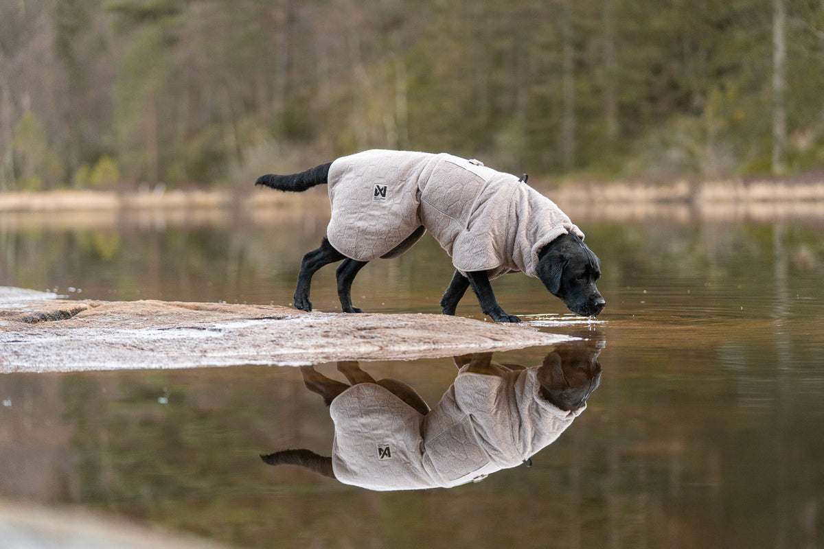 Non-stop dogwear Drying Coat