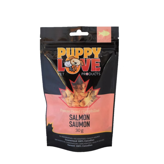 Puppy Love Salmon