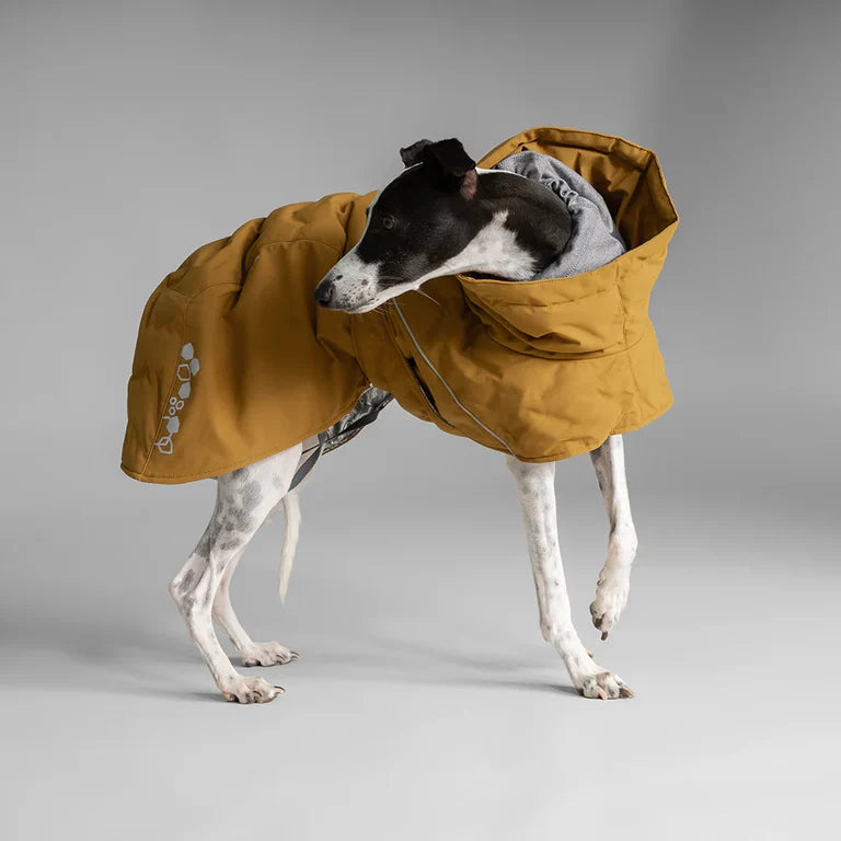 [Presale]Extreme Warmer III ECO