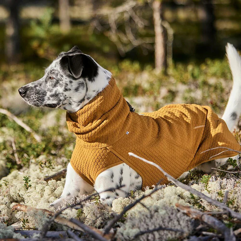 [Presale]Warming Midlayer ECO Dog Jacket