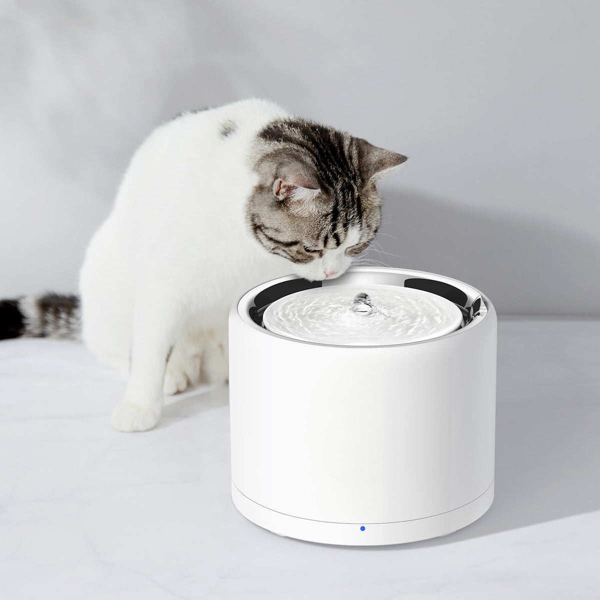 Cat drinking from PETKIT EverSweet 3 Pro (UVC) fountain