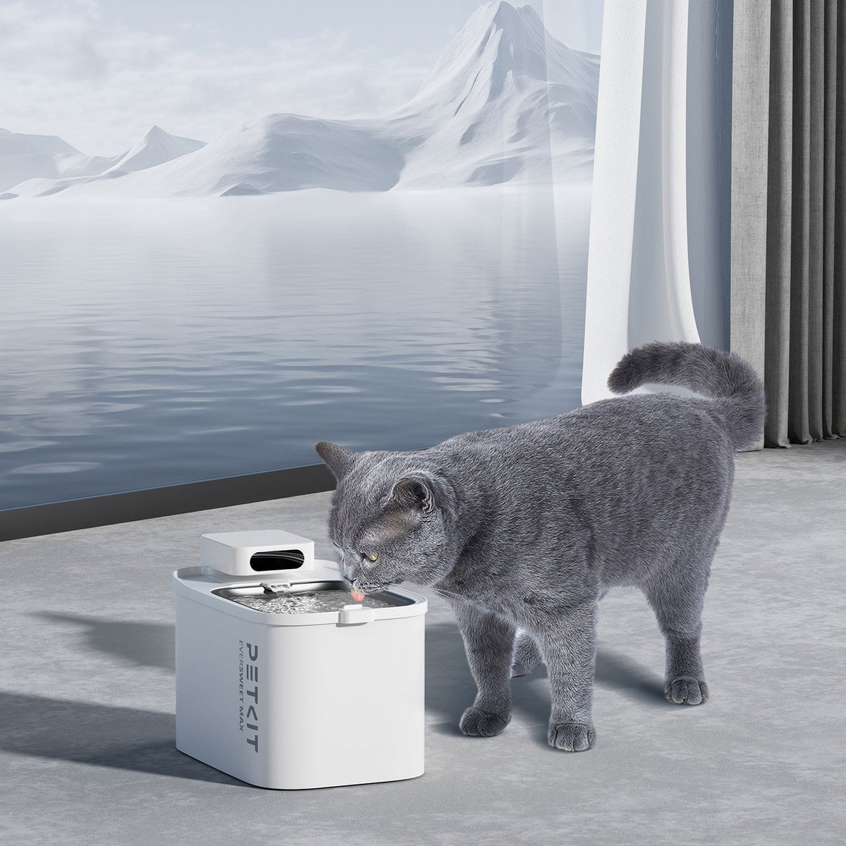 PETKIT EverSweet Max Cordless Pet Water Fountain with cat drinking