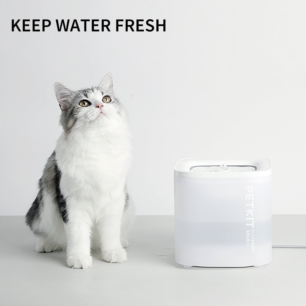 Cat drinking from PETKIT EverSweet Solo SE fountain