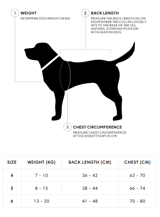 [Presale]French Bulldog Coat Alaska Light Olive