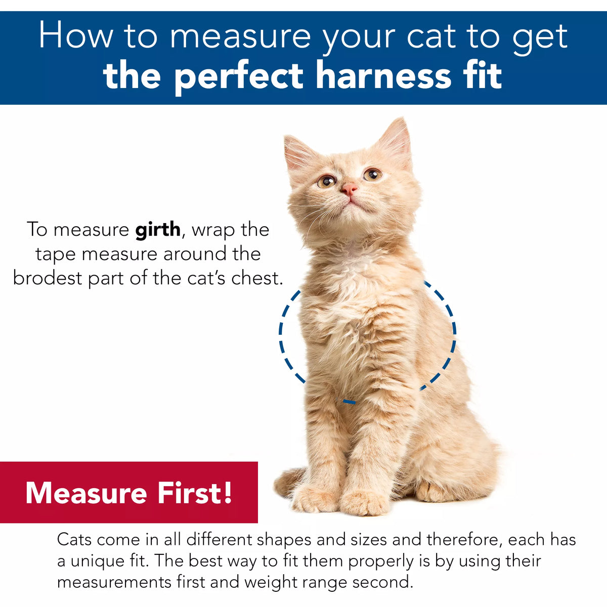 Coastal Adjustable Cat Wrap Harness sizing chart