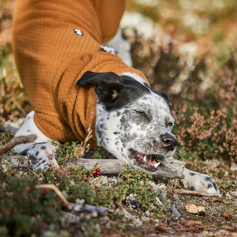 [Presale]Warming Midlayer ECO Dog Jacket