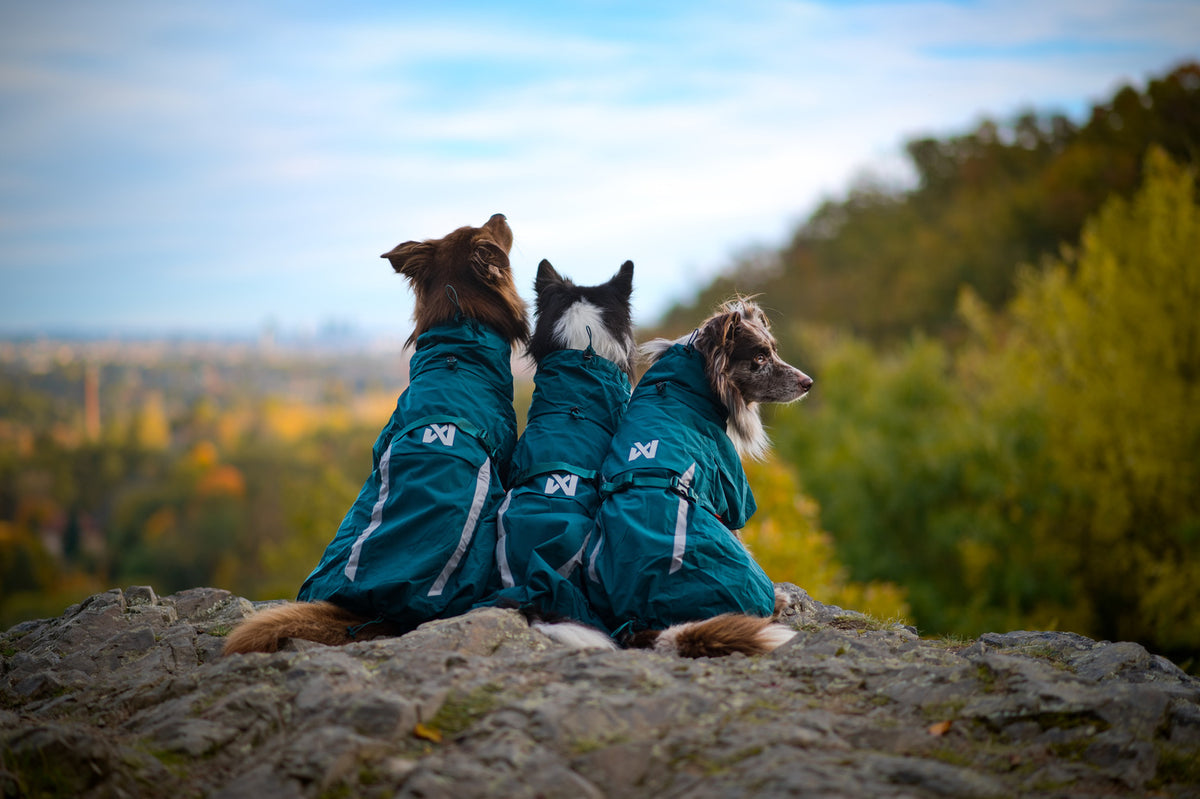 Non-stop dogwear Fjord Lined Raincoat – Dark Teal