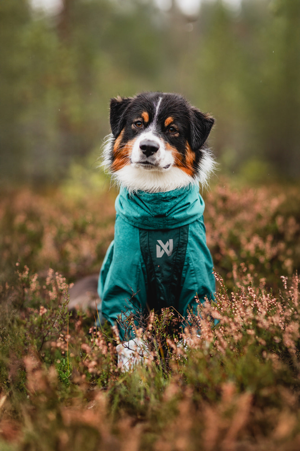 Non-stop dogwear Fjord Overall Raincoat – Teal