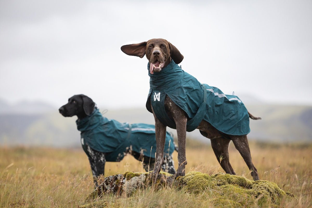 Non-stop dogwear Fjord Lined Raincoat