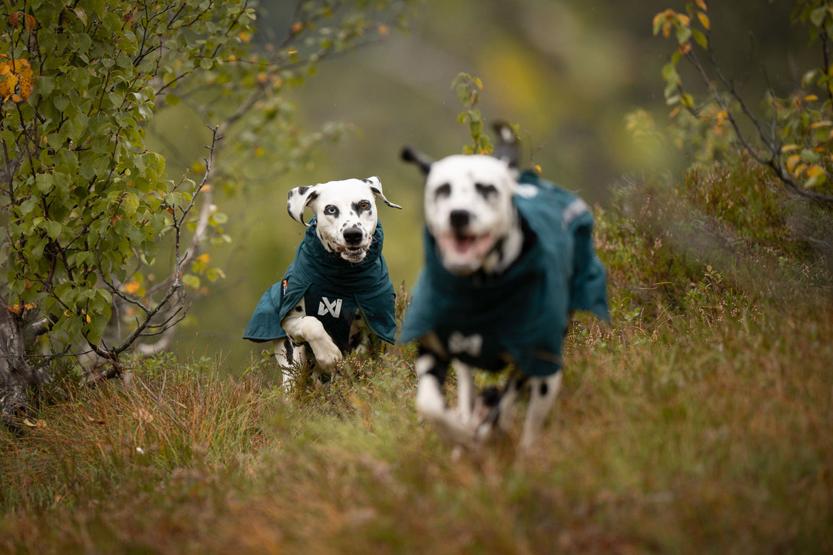 Non-stop dogwear Fjord Lined Raincoat