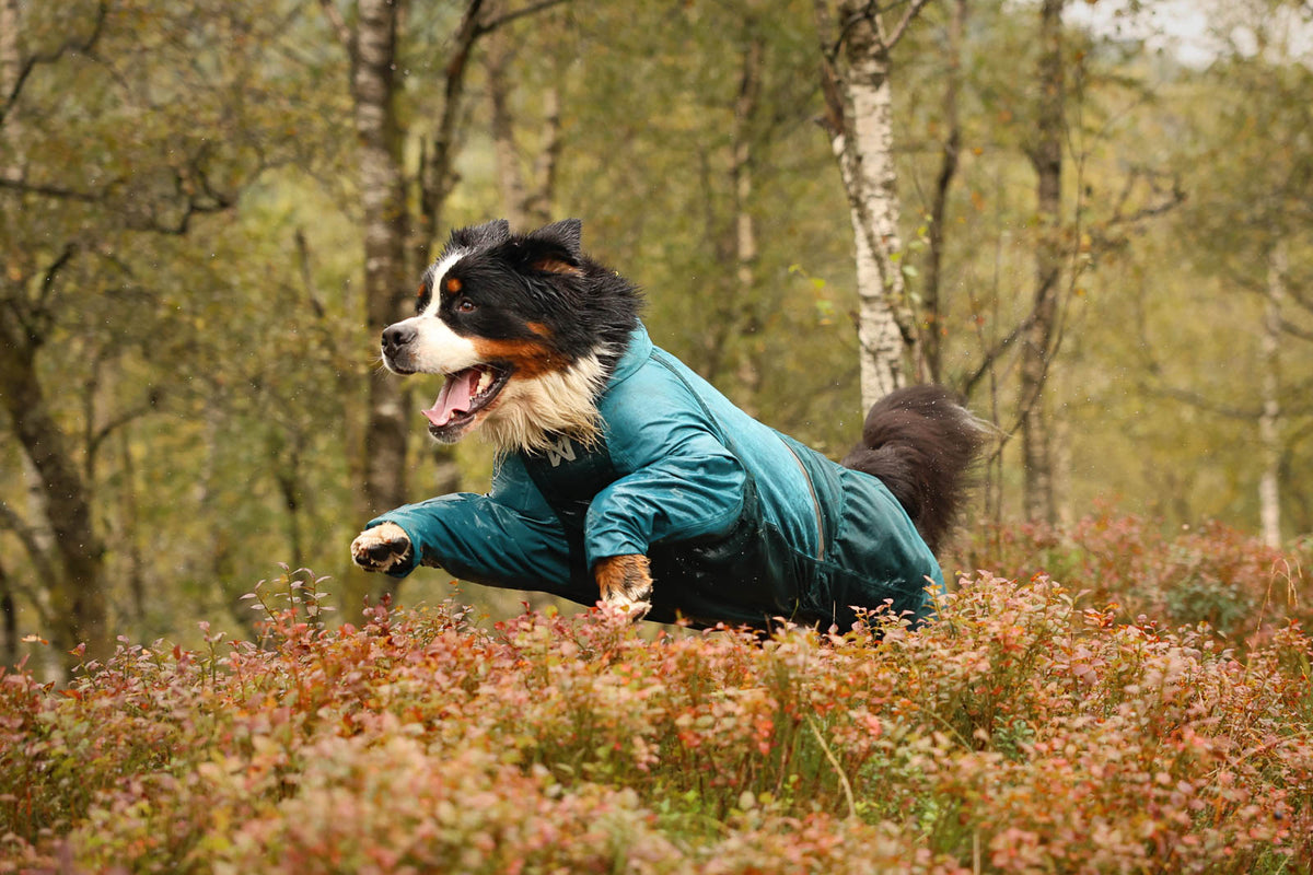 Non-stop dogwear Fjord Overall Raincoat – Teal