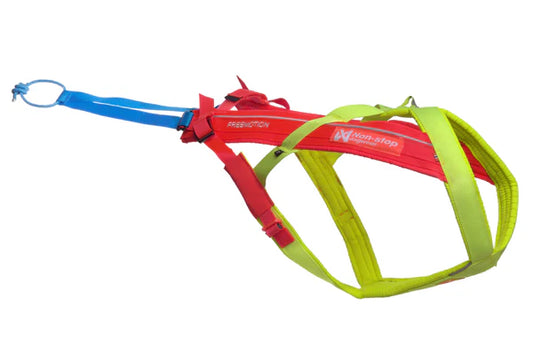 [Presale]Freemotion harness 5.0 - limited edition