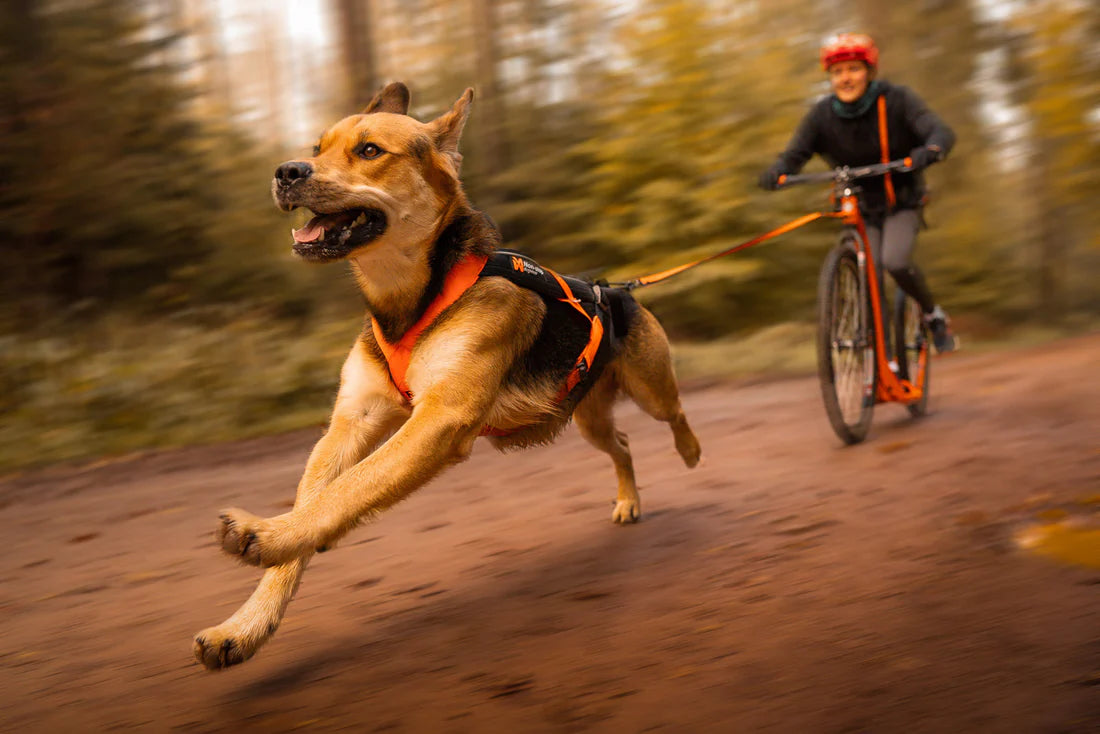 [Presale]Freemotion harness 5.0