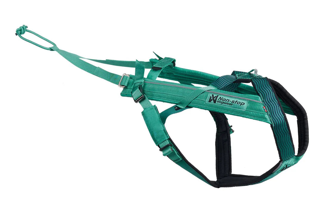 [Presale]Freemotion harness 5.0