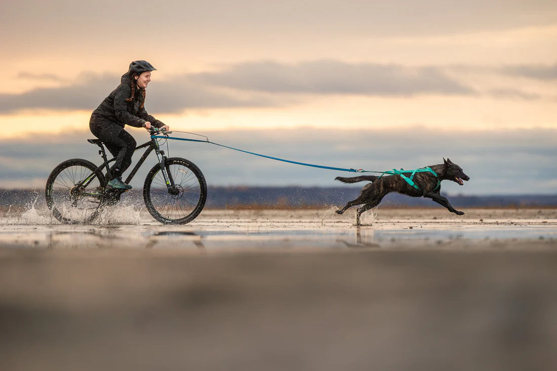 [Presale]Freemotion harness 5.0