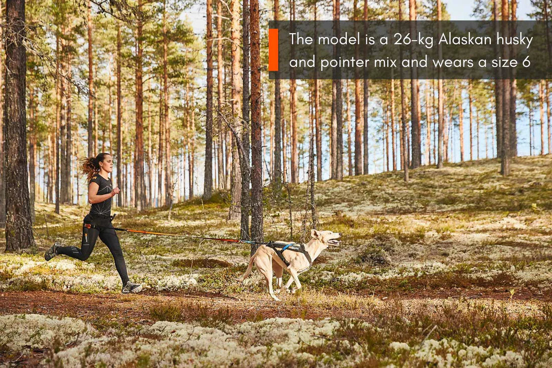 [Presale]Freemotion harness