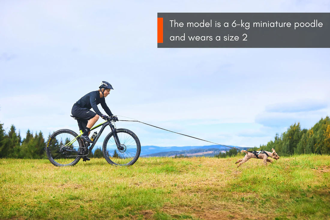 [Presale]Freemotion harness