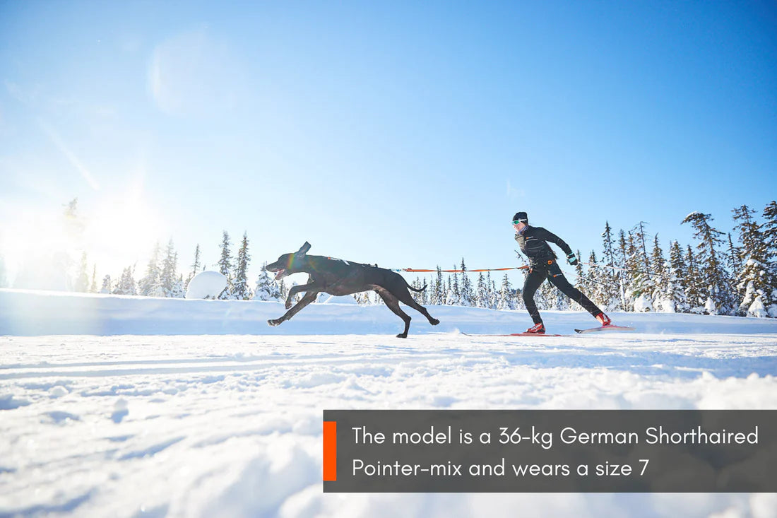 [Presale]Freemotion harness