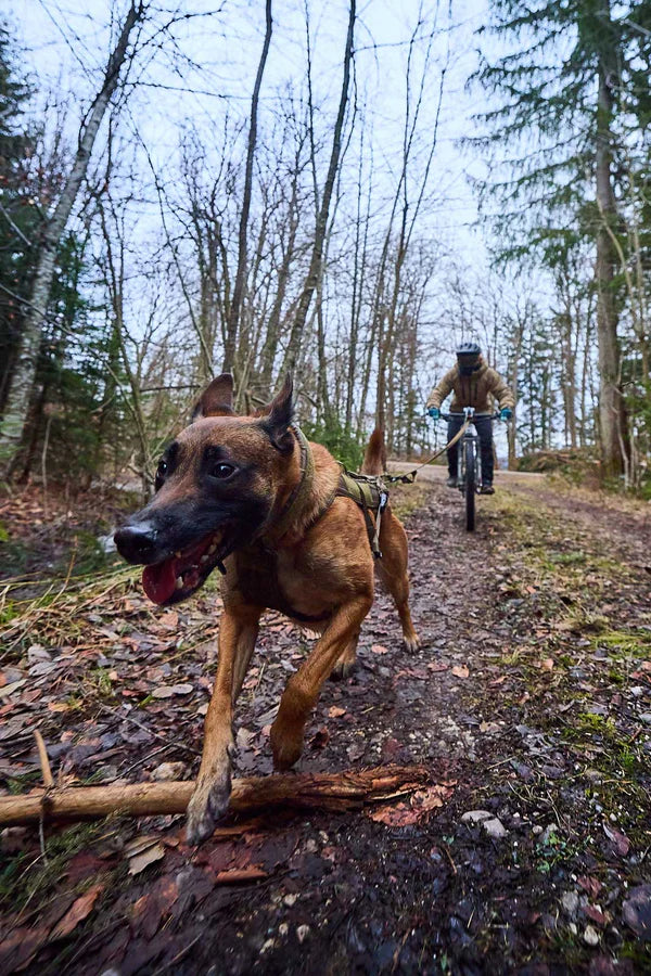 [Presale]Freemotion harness WD