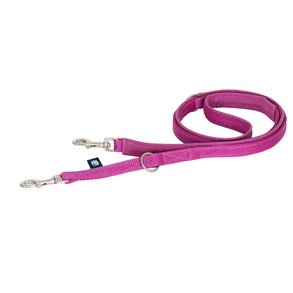 [Presale]leash Bolt Fun
