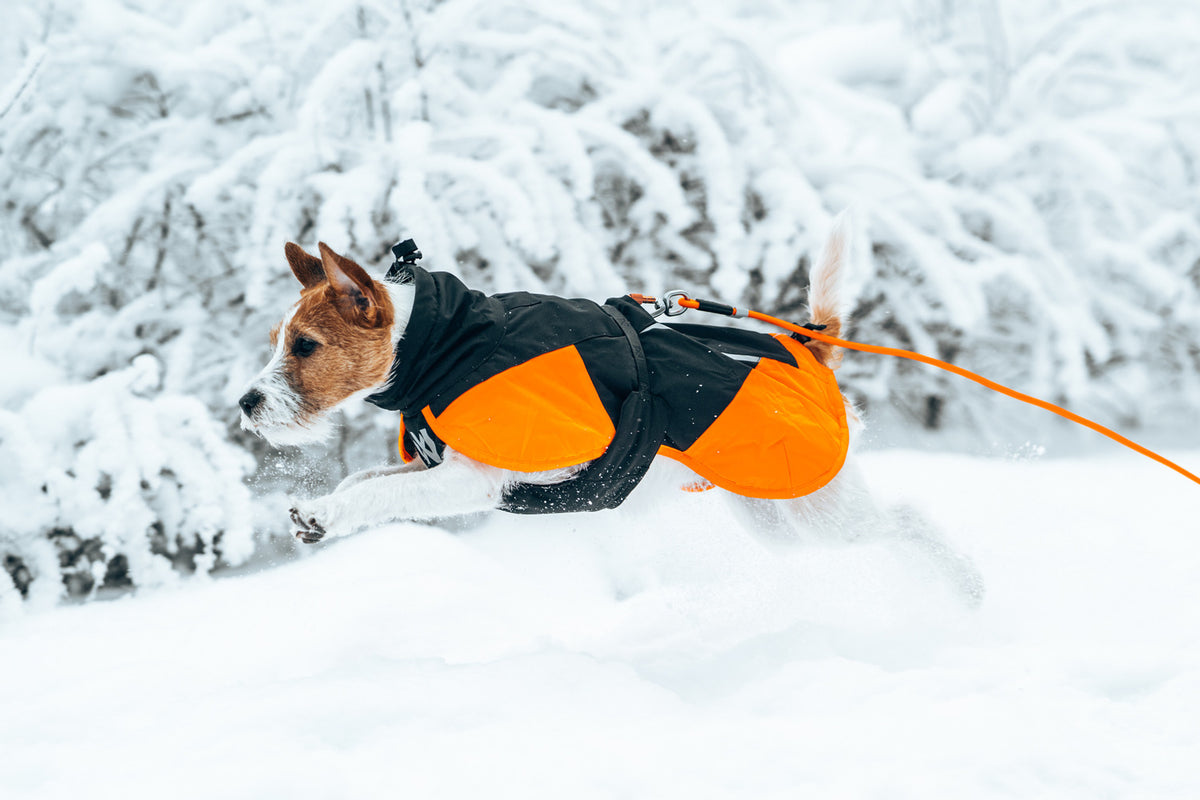Non-stop dogwear Glacier Jacket 3.0 – Black/Orange