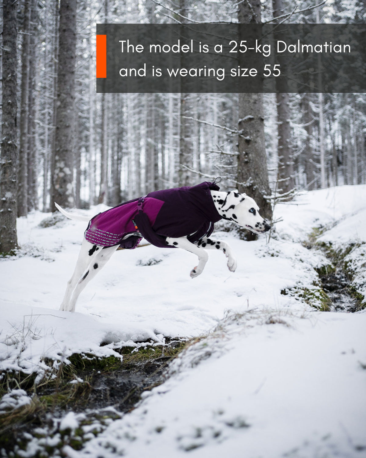 Non-stop dogwear Glacier Jacket 2.0