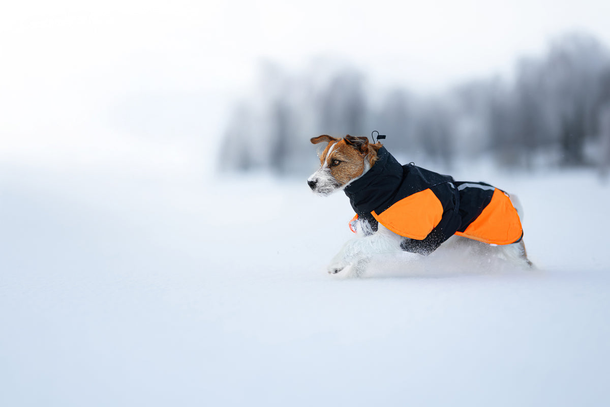 Non-stop dogwear Glacier Jacket 3.0