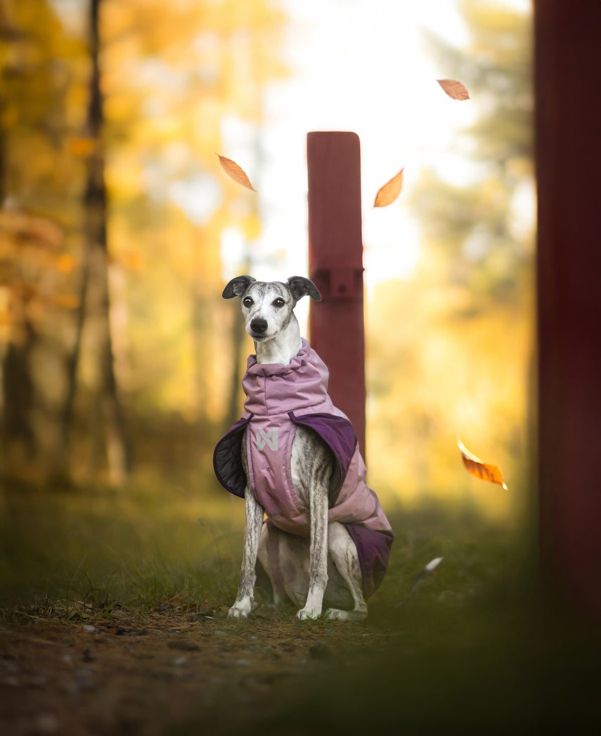 Non-stop dogwear Glacier Jacket 3.0