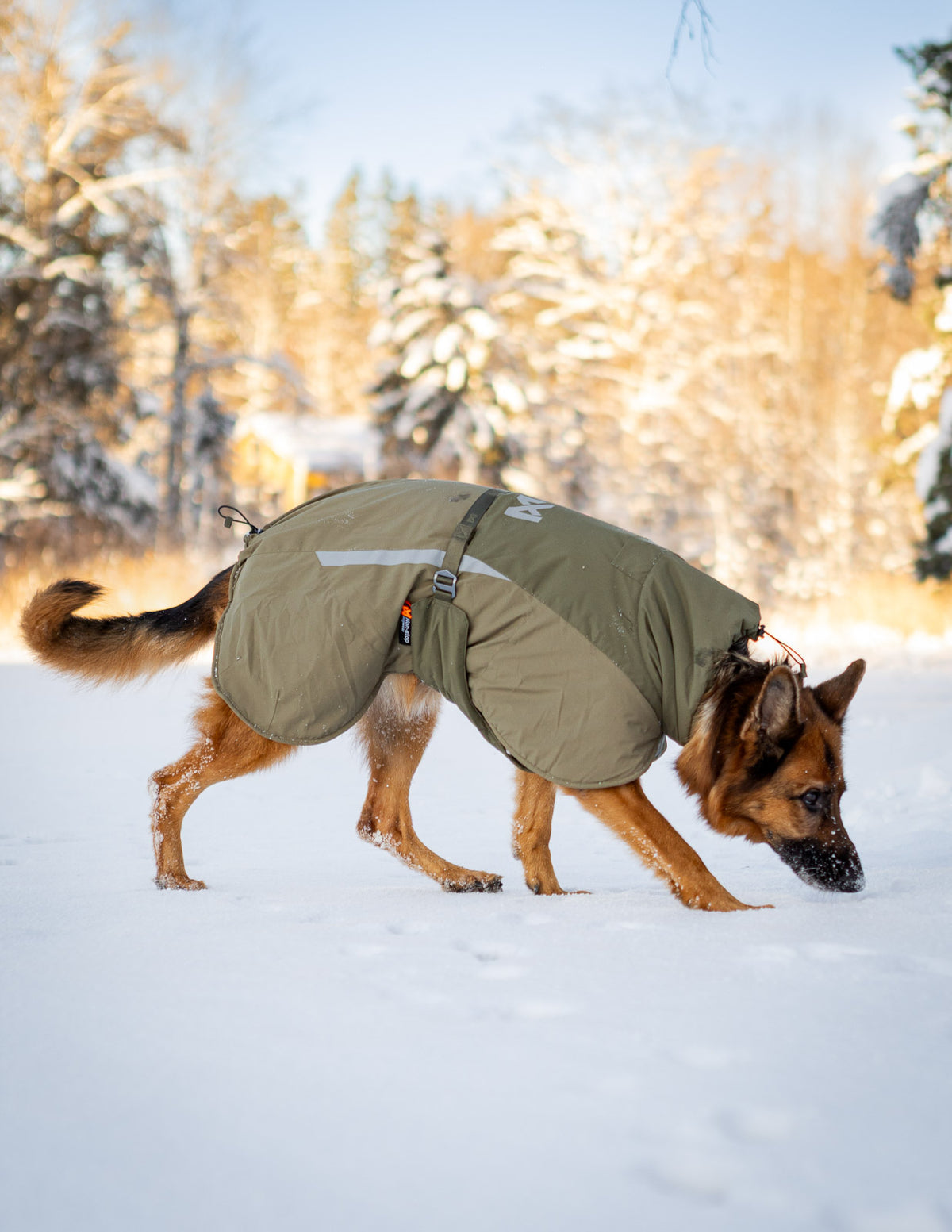 Non-stop dogwear Glacier Wool Jacket 3.0