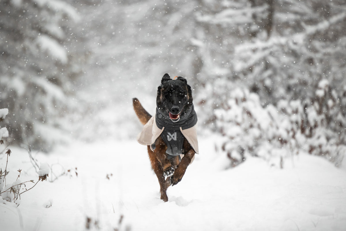 Non-stop dogwear Glacier Wool Jacket 3.0