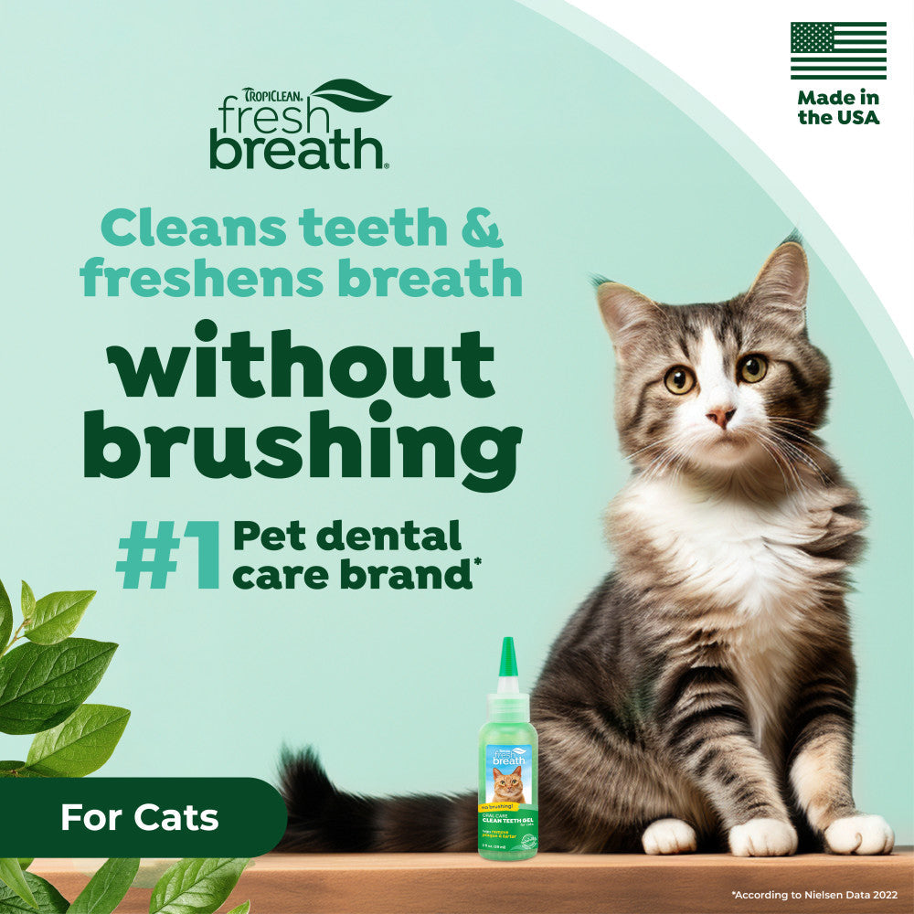 TropiClean Fresh Breath No Brushing Clean Teeth Dental Gel for Cats – lifestyle image