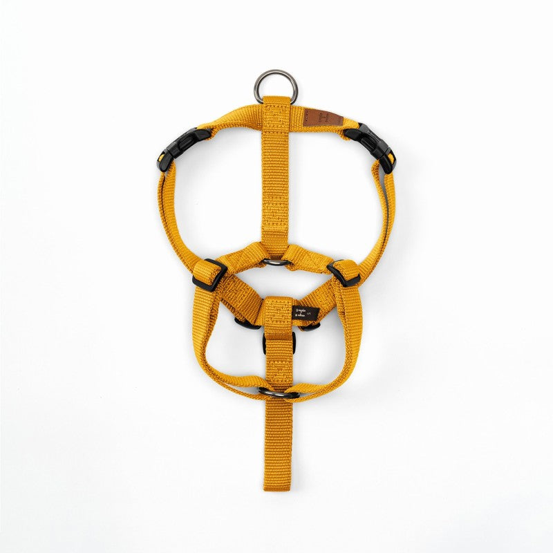 Haqihana H Dog Harness – Orange (official image)