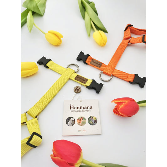[Presale]Harness Yellow