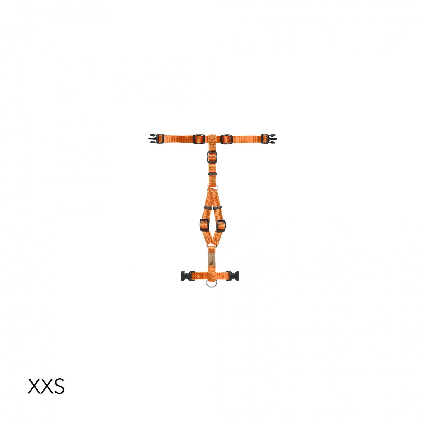 [Presale]Harness Carrot