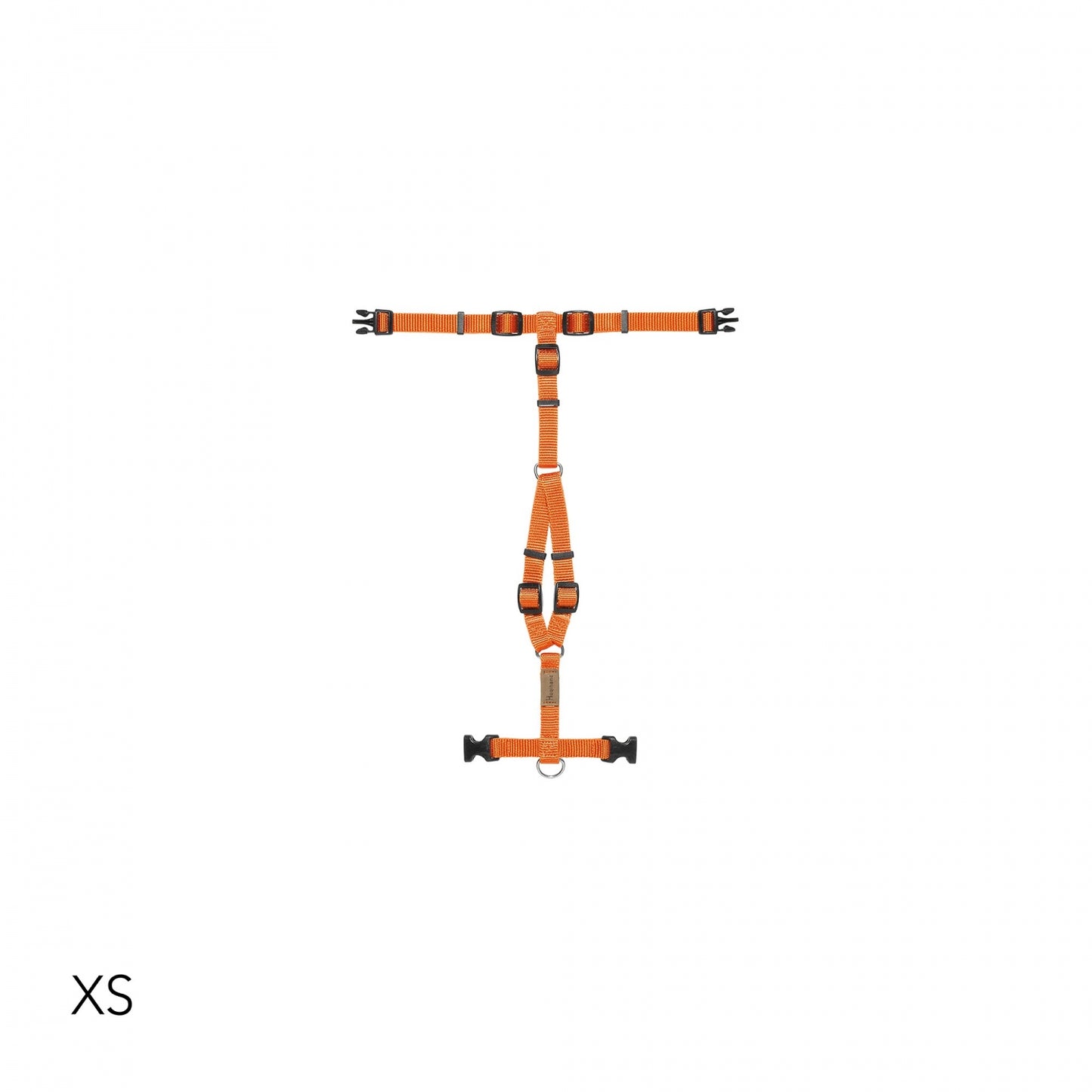 [Presale]Harness Carrot