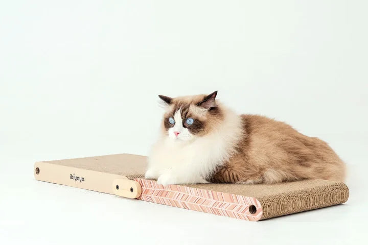 Ibiyaya FF2217 Cinnamon cat scratcher opened flat with cat