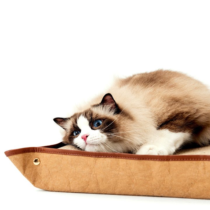 Cat resting on the Ibiyaya Plateau FF2215-01 cardboard scratcher