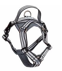 Metizo Dezignign harness with handle