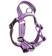 Metizo Dezignign harness with handle