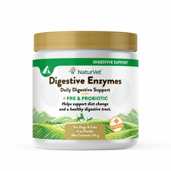 Digestive Enzymes + Probiotic Powder 4OZ